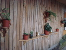 DSC09809
