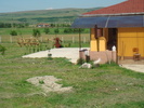 DSC00894