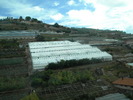 DSCN2464