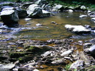 DSCF5096