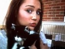 miley and cat