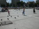 IASI 376