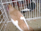 Picture 051