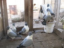 IMG_0012