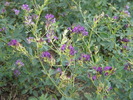 DSCN0258