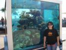 501 Israel - Eilat - The Observatory Marine Park