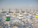 IMG_0036 (3)