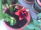 Imag072