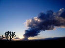 Evening Shade in the Desert 1