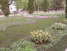 iasi_2oo8_4