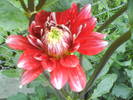 DSC00421