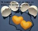 oua%20indragostite