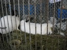 DSCN0198
