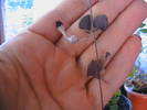Picture 001