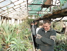 Tocaci Marius