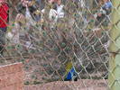 Picture 251