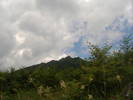 DSCF6113