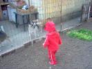 IM000612