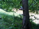 DSCF2669