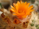 DSC01869