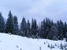 DSCF7621