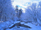 WINTER~2