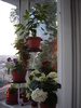 DSC02594