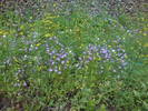 DSC01759