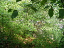 DSCF5378