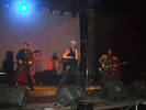 concert (13)