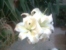Imag027