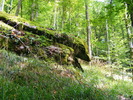 DSCF5364