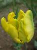 DSCF1057