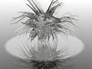 Glass_Artifact-0286  Future  Art