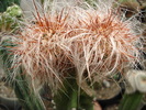 DSC05242