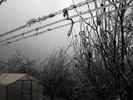 DSCF2182