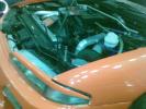 Picture 014