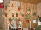 DSC09845