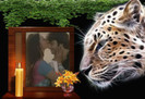 vidya si sagar184