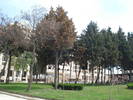 Sol Mare Nessebar