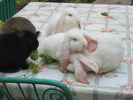 DSCF3861