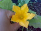 02082009517