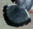 Copy (2) of 23072008648