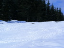 DSCF6892