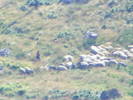 DSCF4471