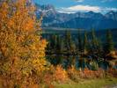 Jasper National Park, Alberta, Canada