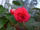 21 sept 2008 004