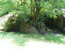 DSCF2516