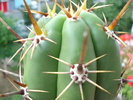 DSC01903