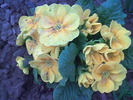Imag025